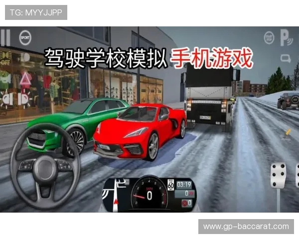 为什么驾驶学校无法进入游戏的原因及解决方法解析