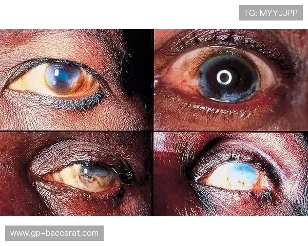 四人探索神秘恐怖医院 揭开隐藏的可怕秘密与致命真相 四人探索神秘恐怖医院 揭开隐藏的可怕秘密与致命真相