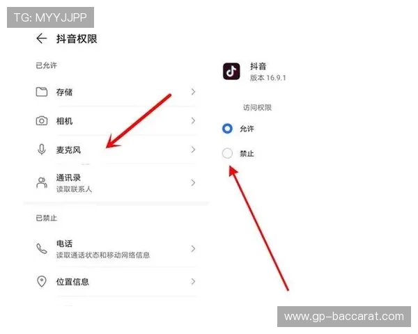如何在开启直播游戏后快速关闭自己的麦克风避免干扰和隐私泄露