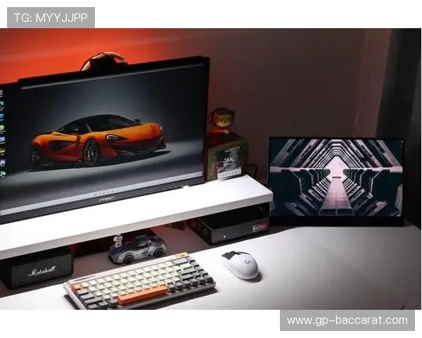 如何像白鲨一样成为顶尖游戏高手提升技能与战术思维的全面指南